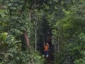 Tn DSC 4040
